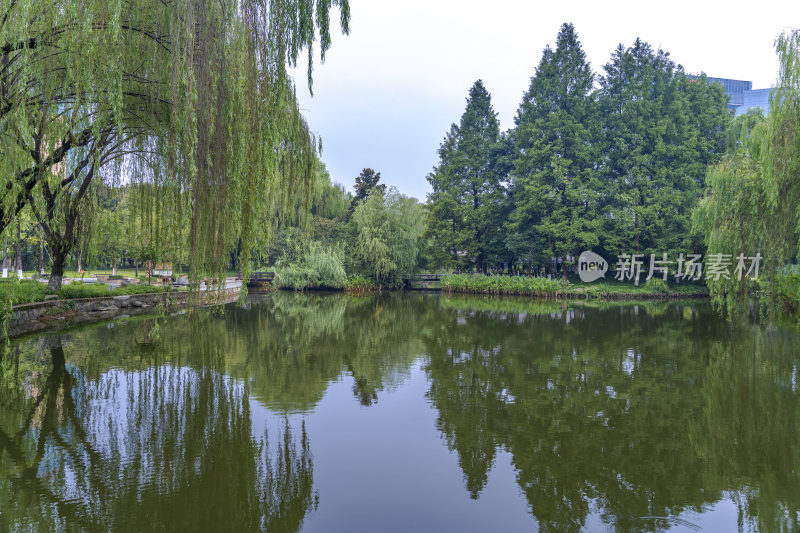杭州上城区世纪花园