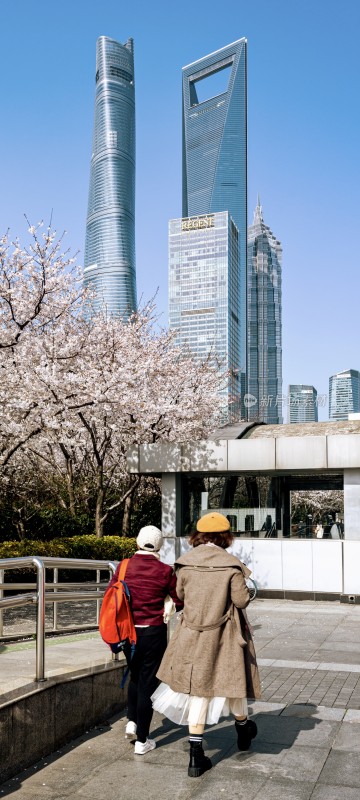 上海城市风光与地铁站口樱花