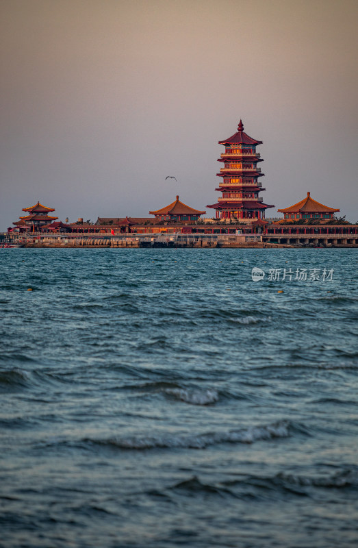 山东烟台蓬莱阁八仙过海景区海天之间海鸥