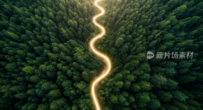 航拍森林中的蜿蜒公路