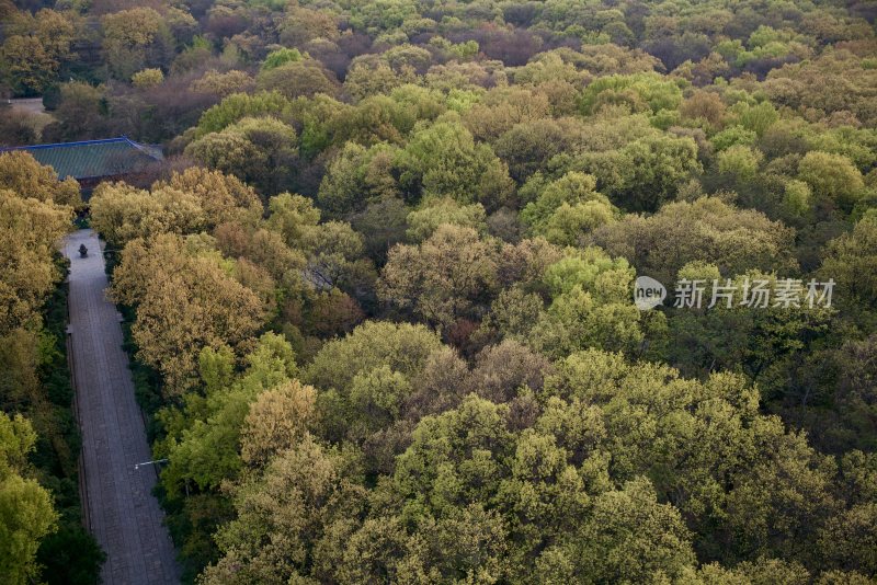 南京钟山灵谷景区