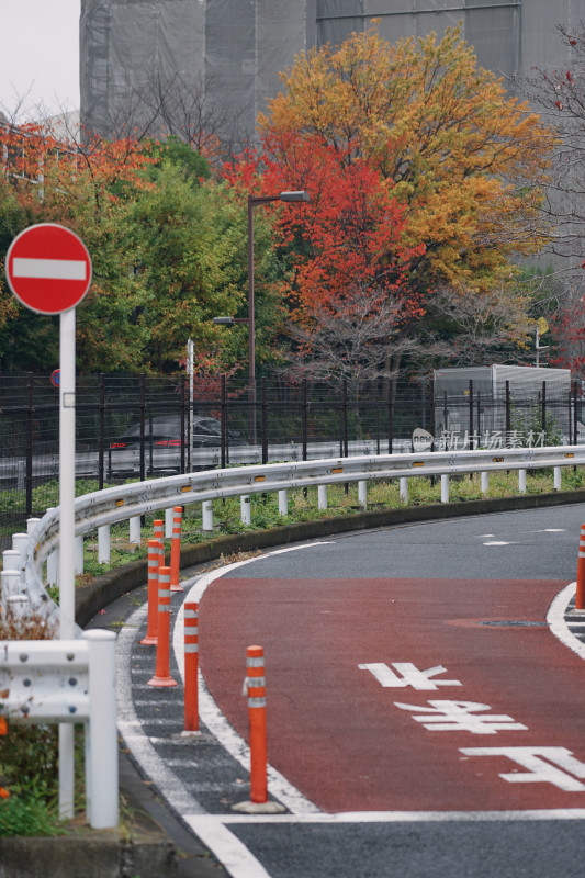 日本东京，秋天的街道