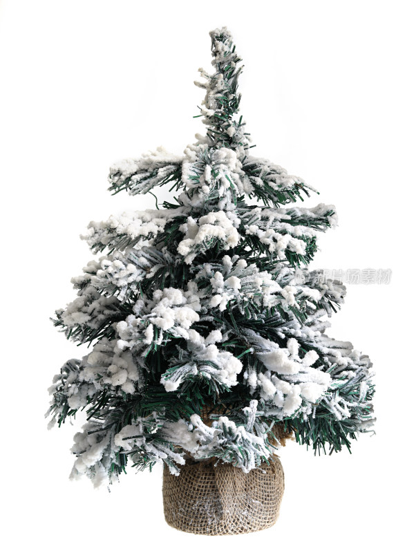 一颗冬日圣诞节圣诞树的白底图