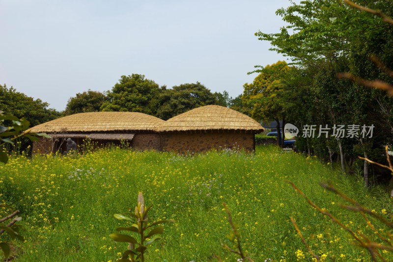 韩国济州岛城邑民俗村