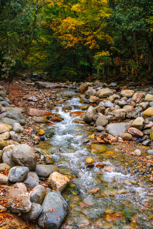 四川光雾山溪流风光