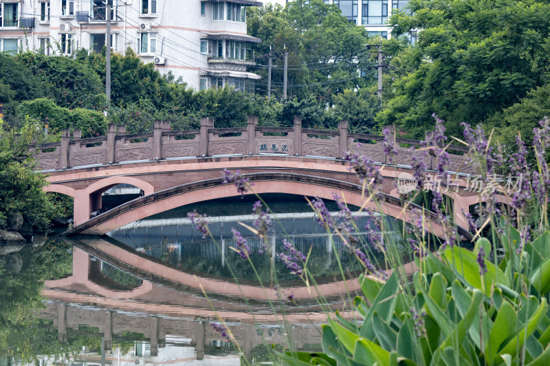 四川成都浣花溪公园内部景观