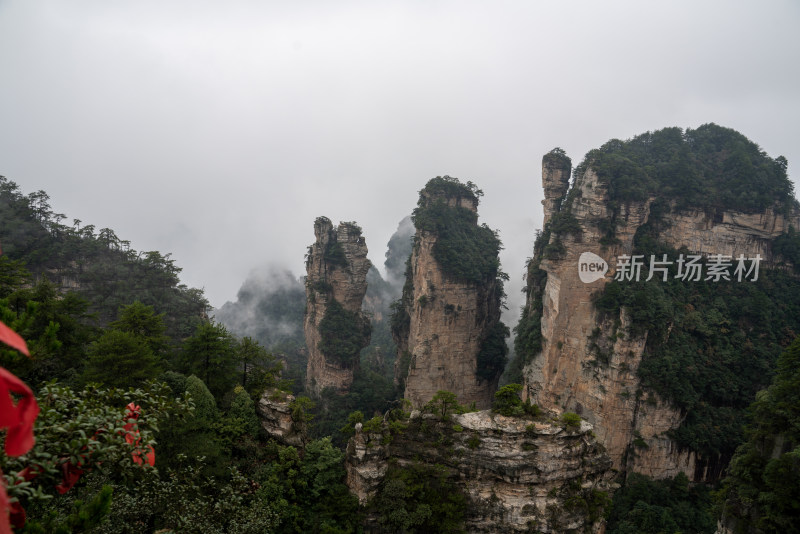 云雾缭绕的张家界奇峰异石景观