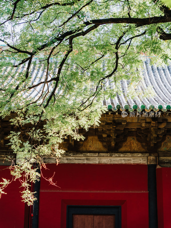 运城芮城县永乐宫