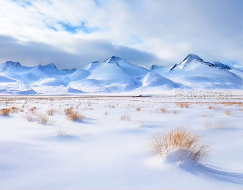 高山雪地