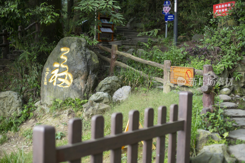 峨眉山禅道森林栈道