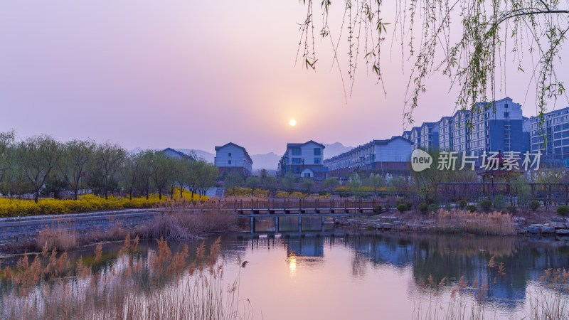 湖泊芦苇为前景的住宅楼黄昏景观