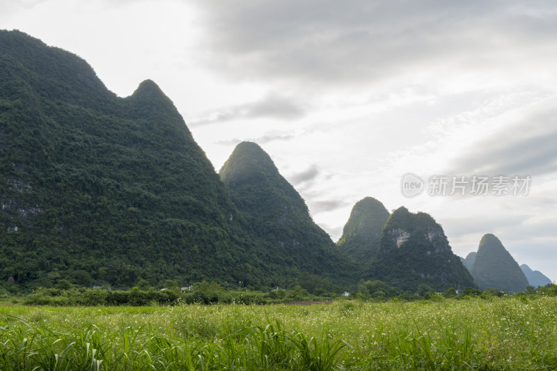 阳朔遇龙河风光