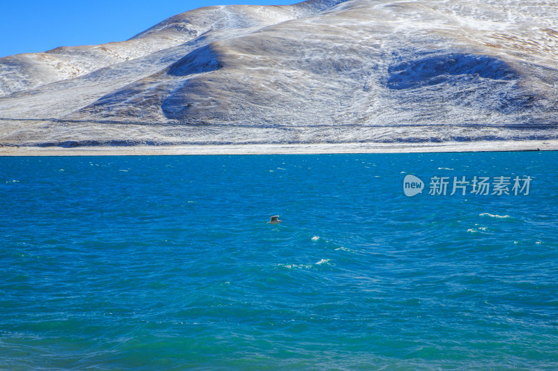 中国西藏羊卓雍措湖羊湖冬季雪景