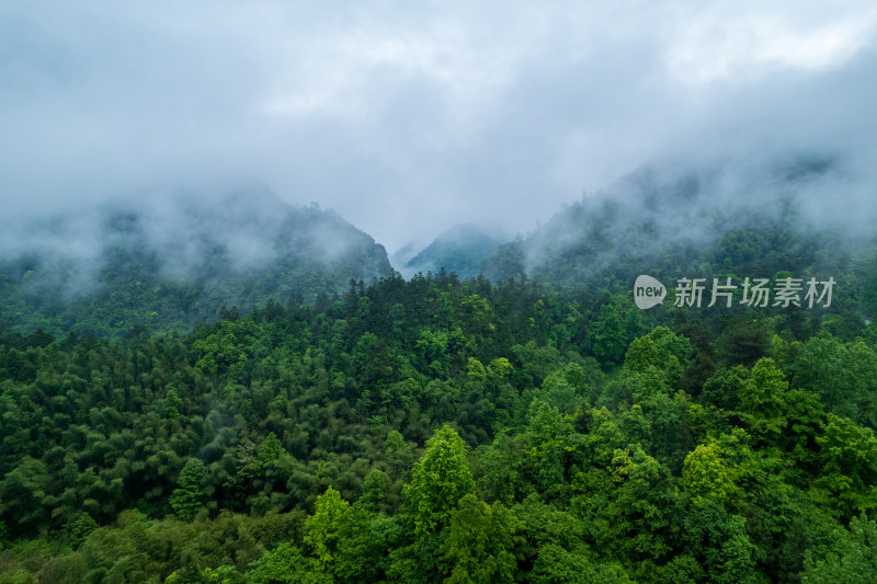 山林云雾缭绕全景