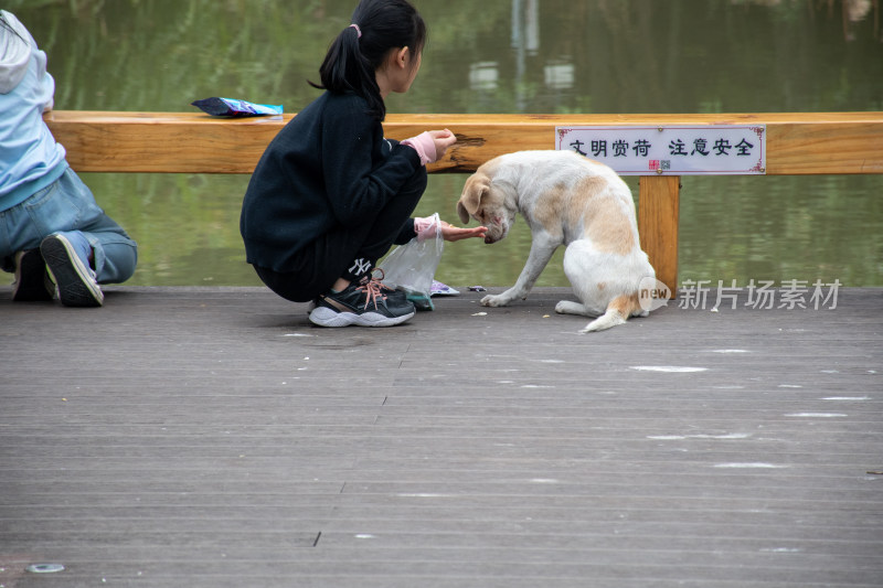 两位女孩和小狗玩耍的场景