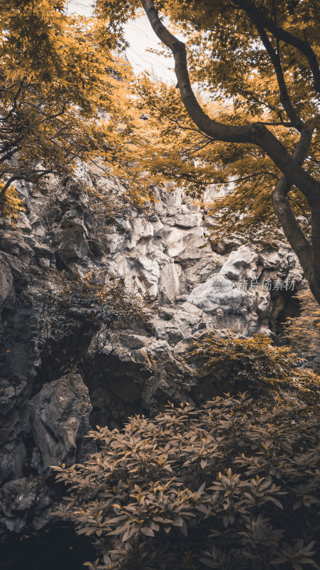 杭州清代古宅胡雪岩故居风景