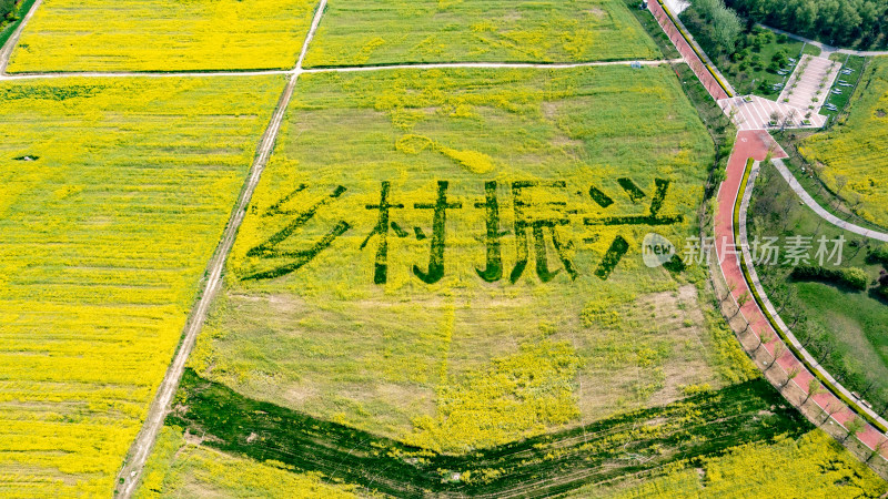 乡村振兴农田文字航拍