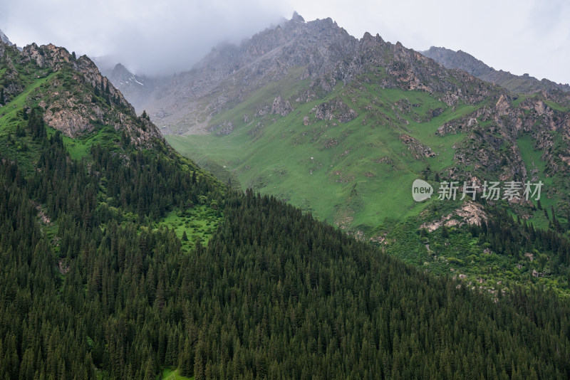 夏日，新疆夏塔旅游景区草原冰川风光