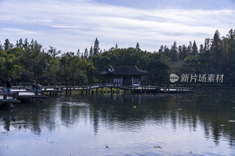 杭州西湖风景区曲院风荷风景