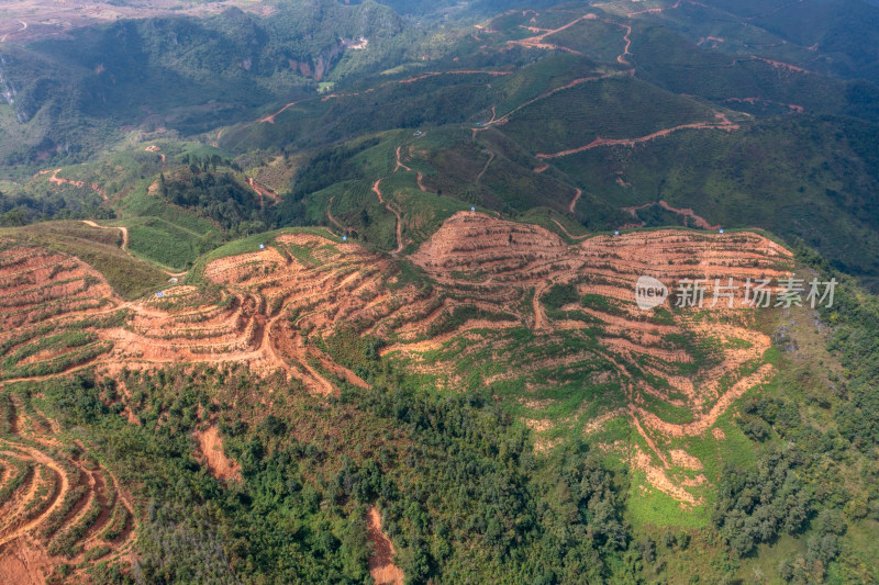 梯田上的绿色希望 仙人掌种植基地