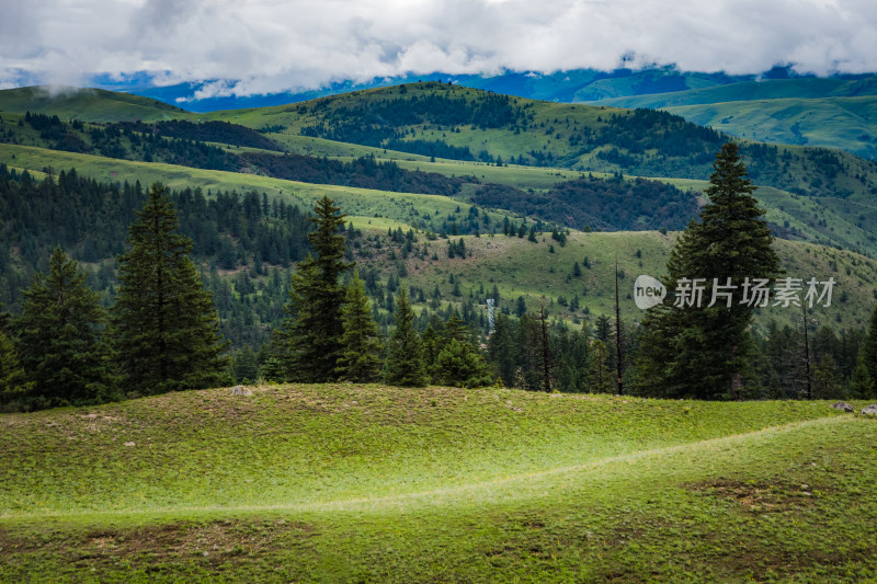 川西格聂夏天山脉 山峦 山峰 草原牧场