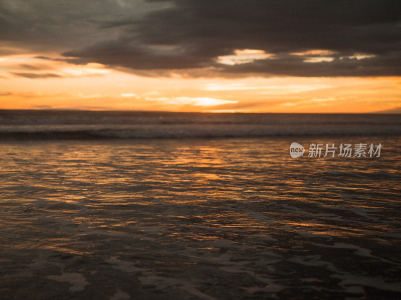 新西兰Muriwai beach 鸟岛塘鹅栖息地海滩