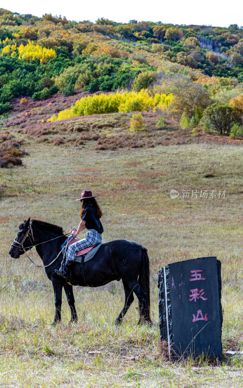 内蒙古乌兰布统草原森林湖泊自然景观