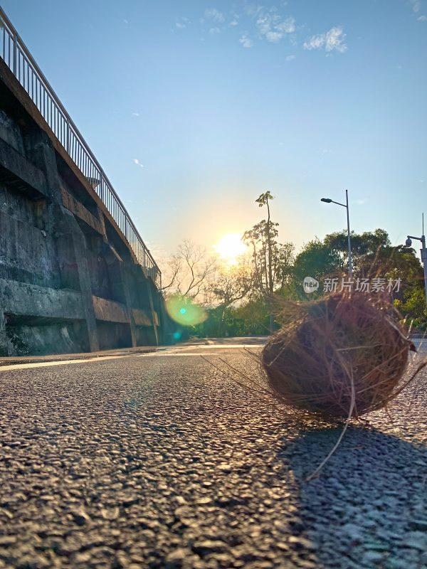 道路上的椰子与夕阳景色