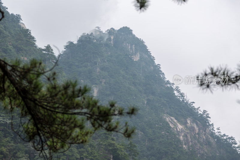 云海中的大明山