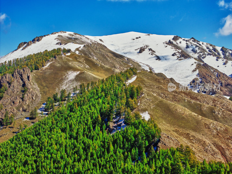 航拍雪山森林