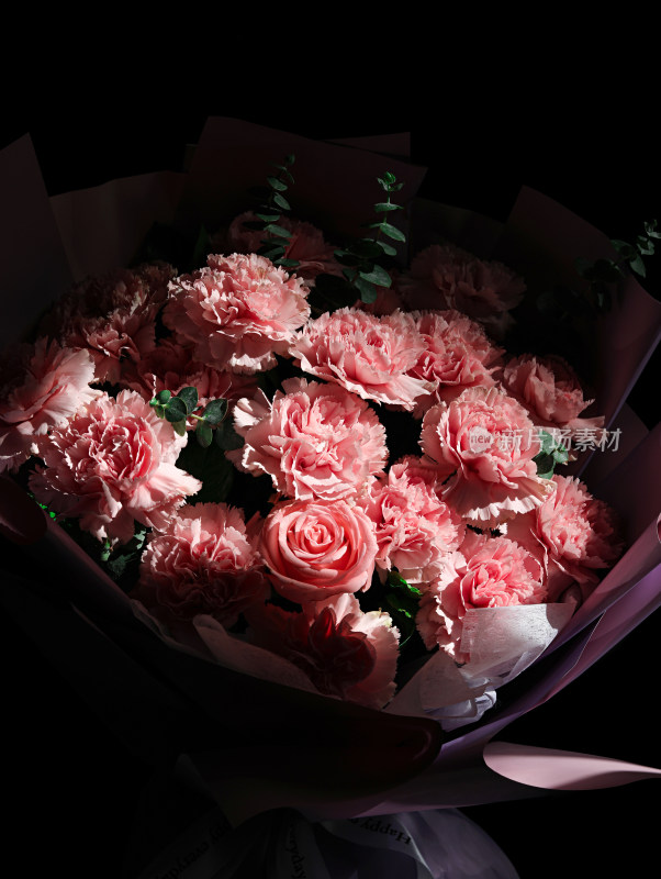 黑色背景上的一束粉色鲜花康乃馨
