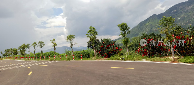 公路旁绿树繁花与远山风景