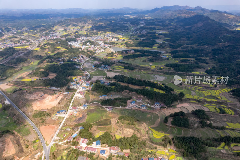 农业种植农田油菜花航拍图