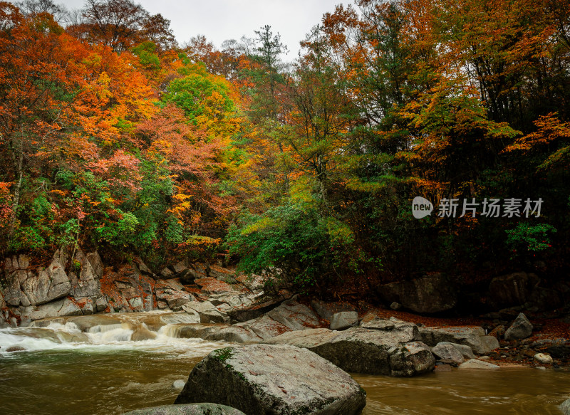 光雾山红叶彩林溪流河谷山谷漂亮壮观