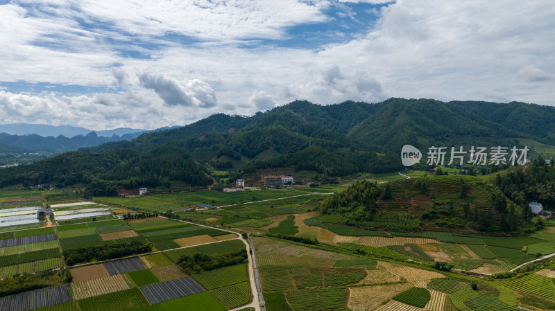 航拍武夷山绿色农田与茶园