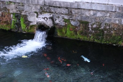 黑虎泉石兽吐水锦鲤游弋景观