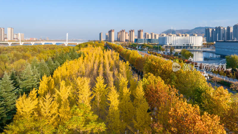 自然风景城市背景金色秋天河流建筑楼房