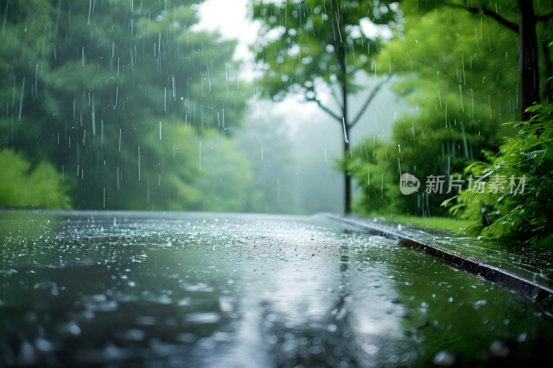 自然风景植物背景雨水