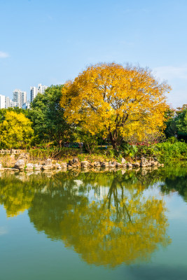 福州黎明湖公园景色