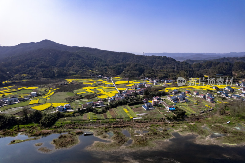 美丽乡村田园农田油菜花丘陵航拍图