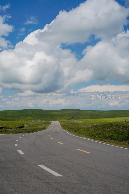 新疆喀拉峻景区草原上的公路