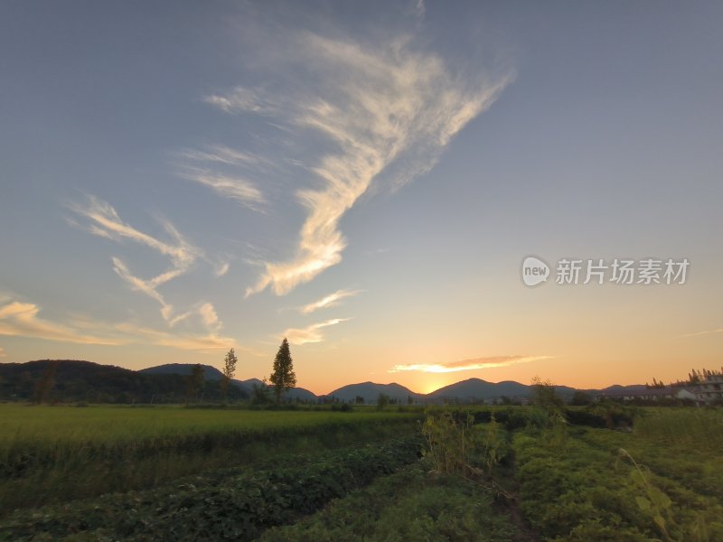 乡村田野间的美丽日落风景