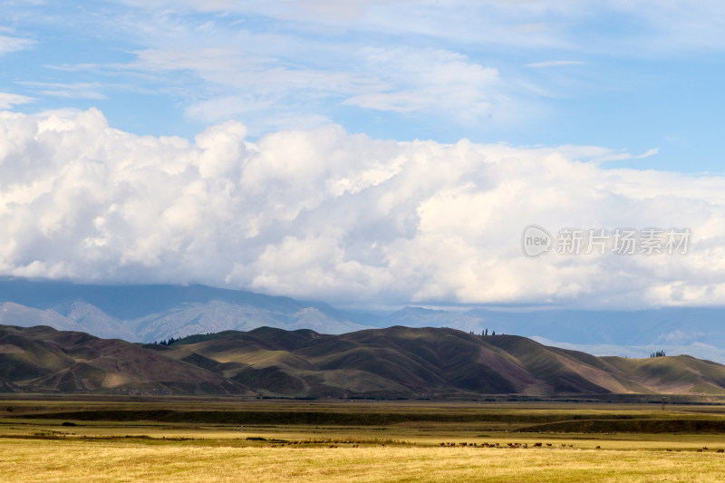 草原远山蓝天白云风景