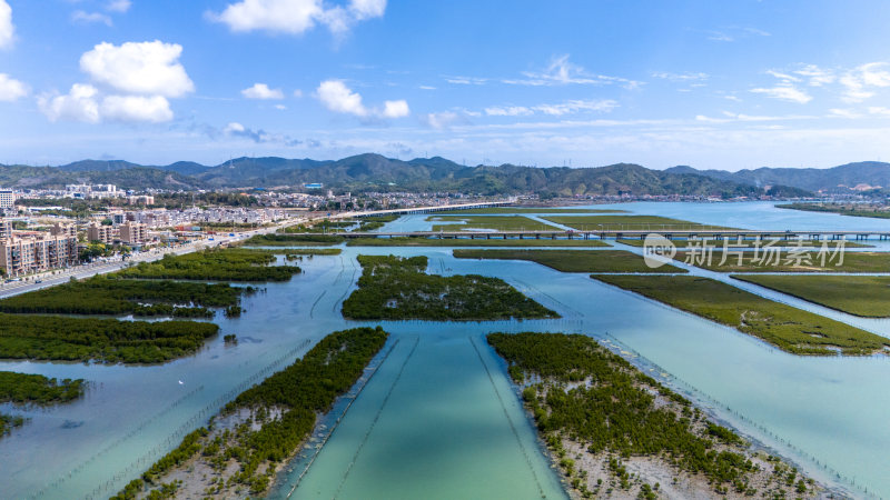 惠州盐洲海洋湿地公园-红树林湿地风光