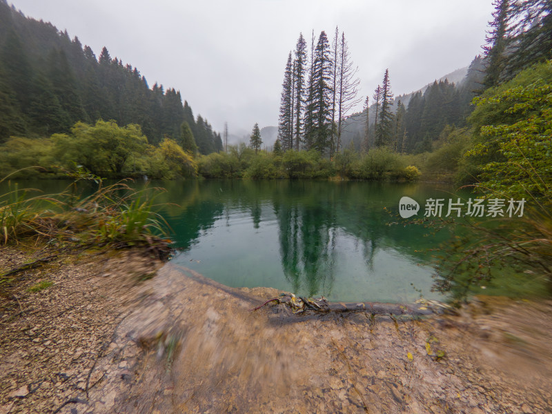 静谧的森林与湖景