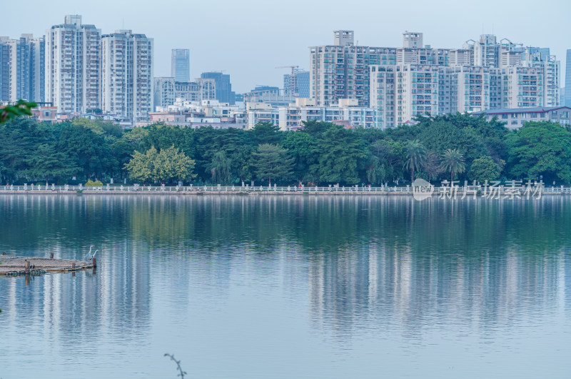 广州海珠湖公园与城市现代住宅高楼建筑群