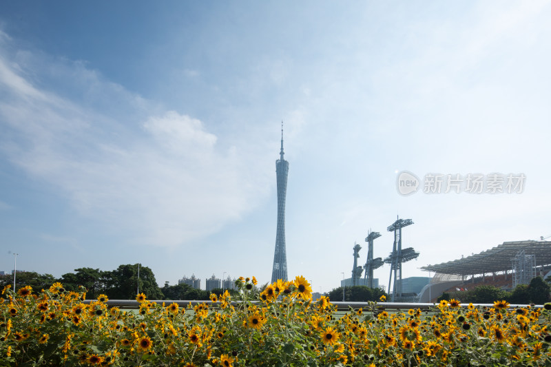 广州中轴线上的广州塔