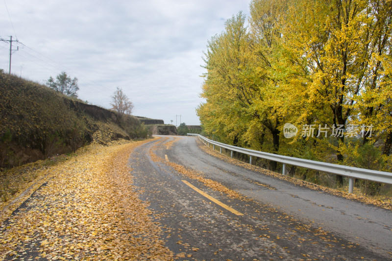 秋天的乡村公路