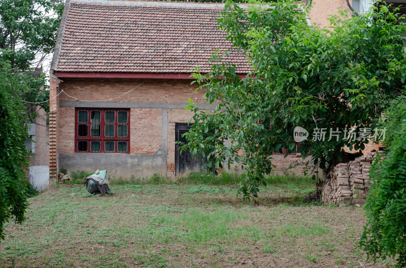 陕西农村的一处废弃荒芜的农村院落