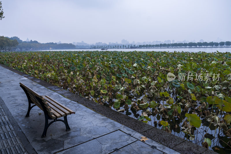 杭州西湖白堤风景